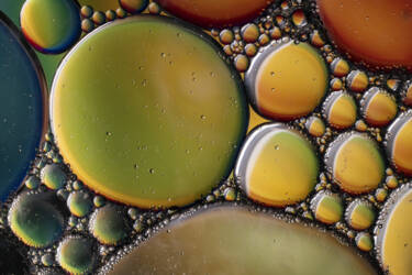 Ross Hoddinott |  Nikon magazine