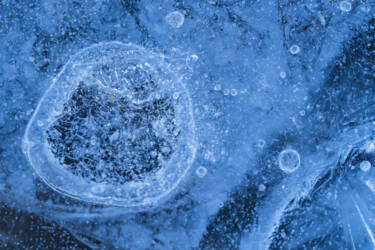 Ross Hoddinott |  Nikon magazine