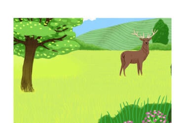 Nikon magazine's Nikon Quickstart cheat sheets