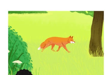 Nikon magazine's Nikon Quickstart cheat sheets