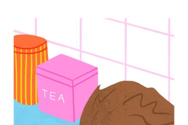 Nikon magazine's Nikon Quickstart cheat sheets