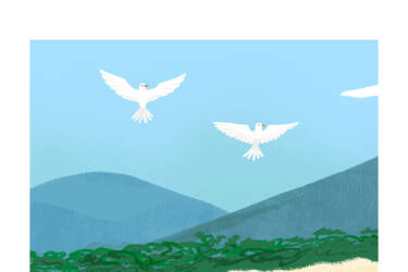 Nikon magazine - cheat sheets focal length