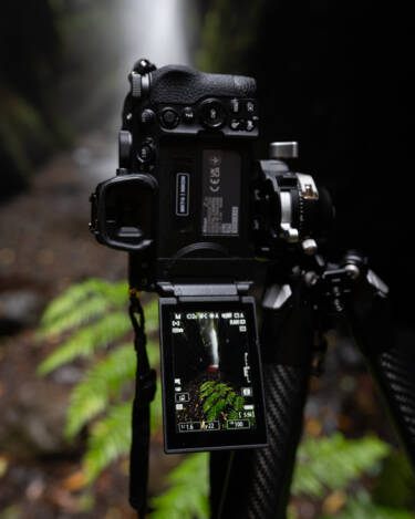 Nikon magazine - better nighttime photography