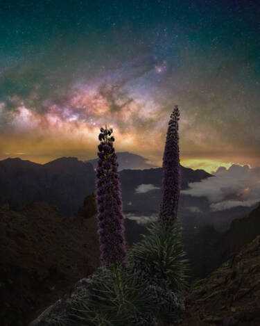 Nikon magazine - better nighttime photography