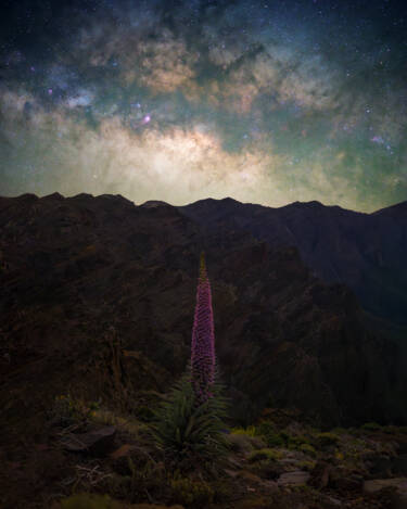 Nikon magazine - better nighttime photography