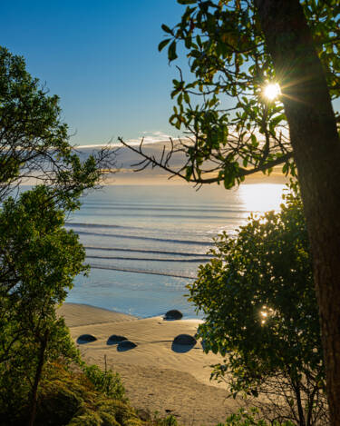 Nikon magazine - Photographing in direct sunlight