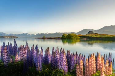 Nikon magazine - Photographing in direct sunlight