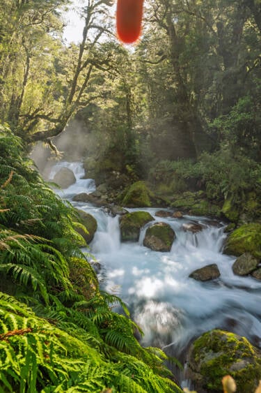 Nikon magazine - Photographing in direct sunlight