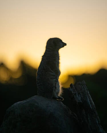 Nikon magazine - Photographing in direct sunlight