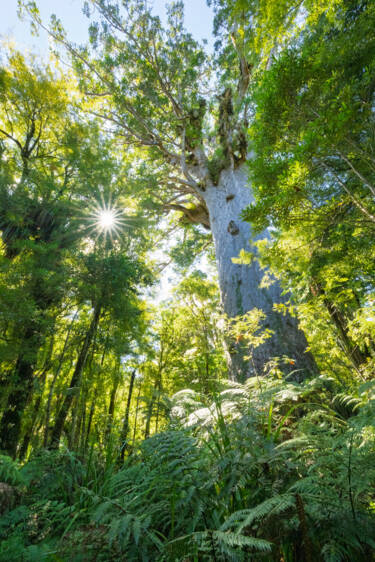 Nikon magazine - Photographing in direct sunlight