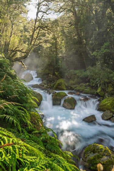 Nikon magazine - Photographing in direct sunlight