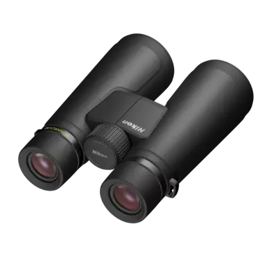 nikon-image