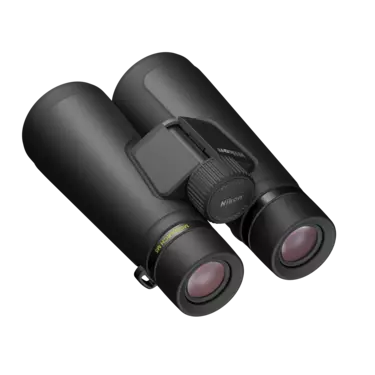 nikon-image