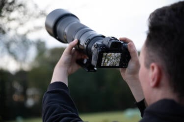 Nikon magazine - beginner bird photography with the Z5II and Samuel Houcken